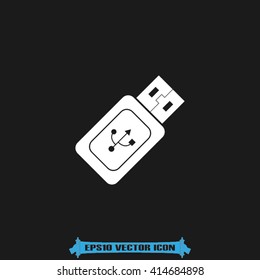 Flash memory icon vector.