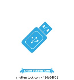 Flash memory icon vector