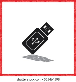 Flash memory icon vector. 