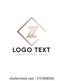 Flash modern letter type Z logo template, Vector logo for business and company identity 