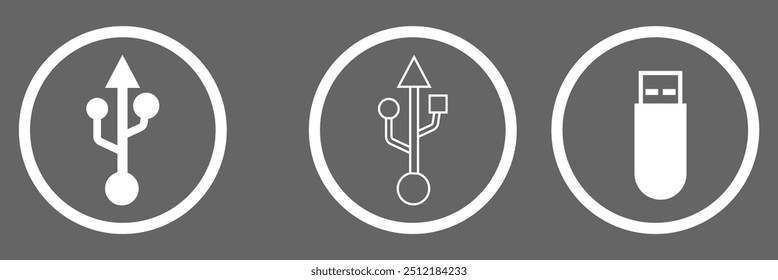 Icono de Vector de unidad USB flash. Conjunto de disco flash para la memoria de almacenamiento.