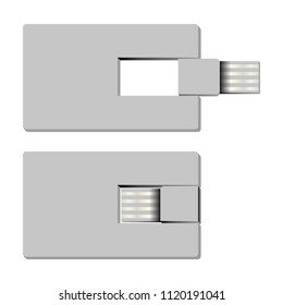 Flash USB visit-card size Template 