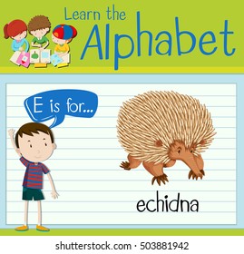 Flashcard alphabet E is for echidna illustration