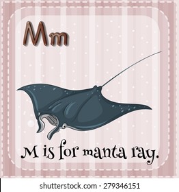 Flashcard alphabet M is for manta ray