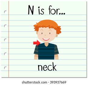 Flashcard alphabet N is for neck illustration
