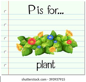 Flashcard alphabet P is flor plant illustration