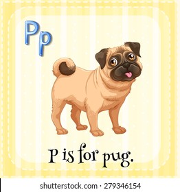 Flashcard alphabet P is for pug