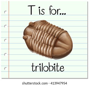 Flashcard alphabet T is for trilobite