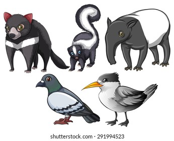 Flashcard of animals and birds with gray colour theme