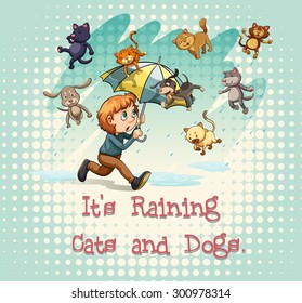 Flashcard de los idiomas "Está lloviendo gatos y perros"