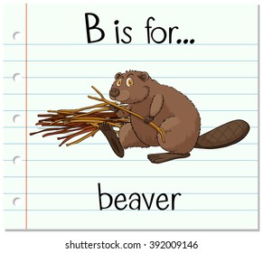 Flashcard letter B is for beaver illustration