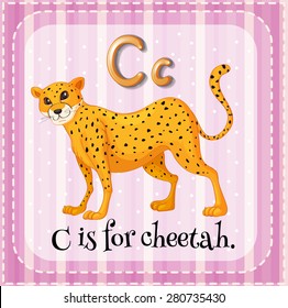 Flashcard letter C is for cheetah