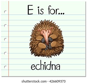 La letra de tarjeta flash E es para la ilustración de echidna