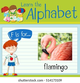 Flashcard letter F is for flamingo illustration