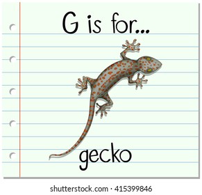 Flashcard letter G is for gecko illustration