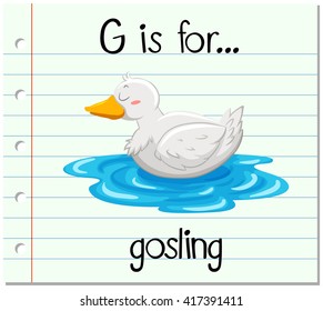Flashcard letter G is for gosling illustration