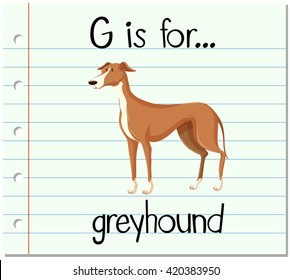 Flashcard letter G is for greyhound illustration
