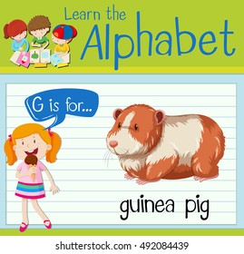 Flashcard letter G is for guinea pig illustration