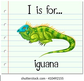 Flashcard letter I is for iguana illustration