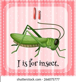 Flashcard letter i is for insect