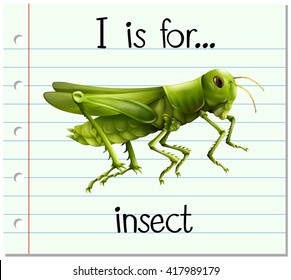 Flashcard letter I is for insect illustration