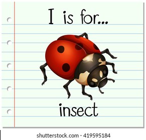 Flashcard letter I is for insect illustration
