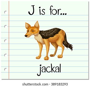 Flashcard letter J is for jackal illustration