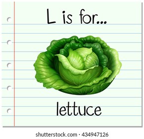 Flashcard letter L is for lettuce illustration