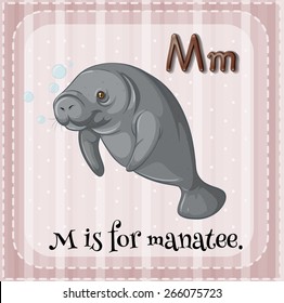 Flashcard letter m is for manatee