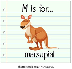 Flashcard letter M is for marsupial illustration