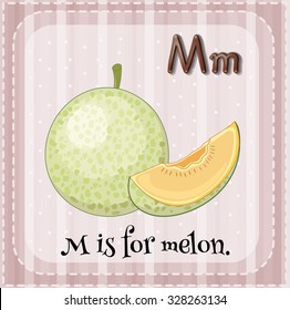 Flashcard letter M is for melon illustration