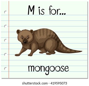 Flashcard letter M is for mongoose illustration