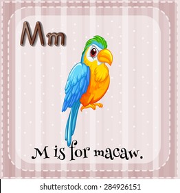 Flashcard of letter M that stands for macaw	