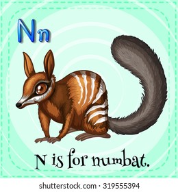 Flashcard letter N is for numbat illustration