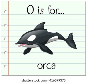 Flashcard letter O is for orca illustration