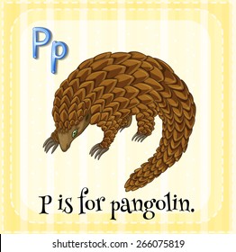 La letra Flashcard P es para pangolin