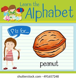 Flashcard letter P is for peanut illustration