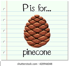 Flashcard letter P is for pinecone illustration