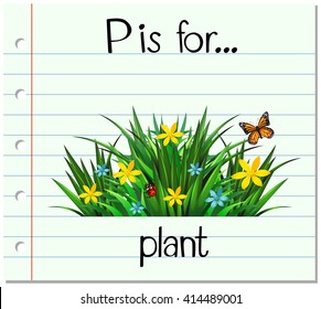 Flashcard letter P is for plant illustration