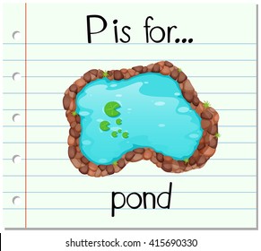 Flashcard letter P is for pond illustration