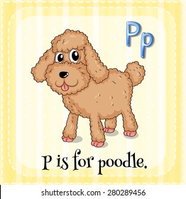 Flashcard letter P is for poodle