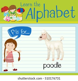 Flashcard letter P is for poodle illustration