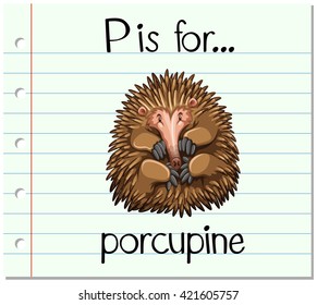 Flashcard letter P is for porcupine illustration