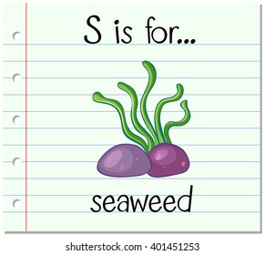 Flashcard letter S is for seaweed