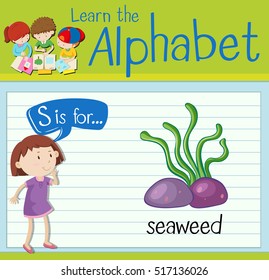 Flashcard letter S is for seaweed illustration