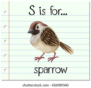 Flashcard letter S is for sparrow illustration