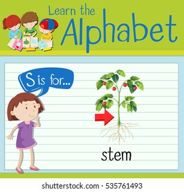 Flashcard letter S is for stem illustration