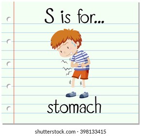  Flashcard letter S is for stomach illustration