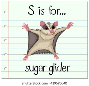 Flashcard letter S is for sugar glider illustration