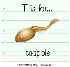 Flashcard letter T is for tadpole illustration